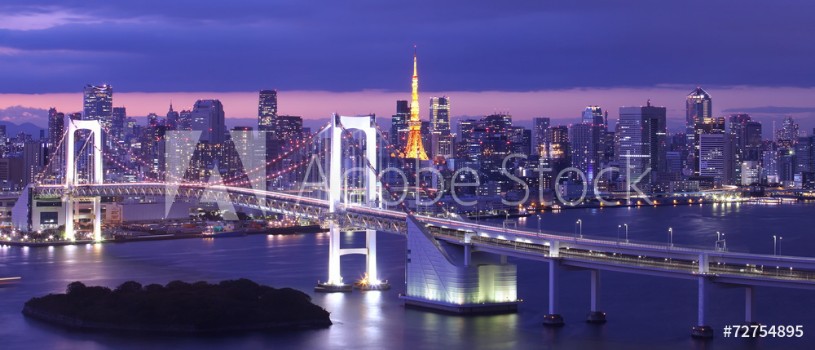Picture of view of Tokyo Bay Rainbow bridge and Tokyo Tower landmark